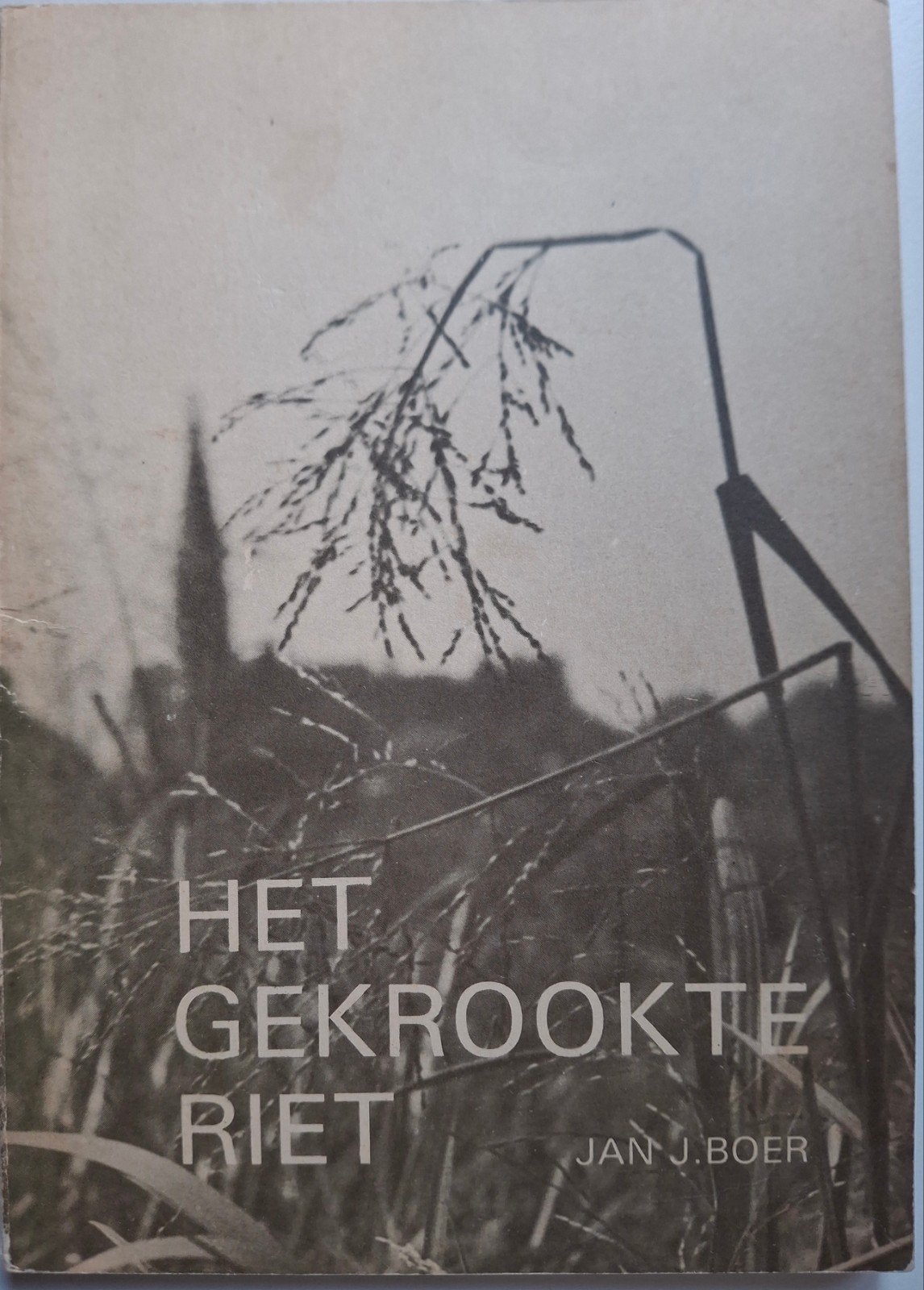 Het Gekrookte Riet - Jan J. Boer (1980), Boeken, Gelezen, Jan J. Boer, Ophalen of Verzenden, Nederland