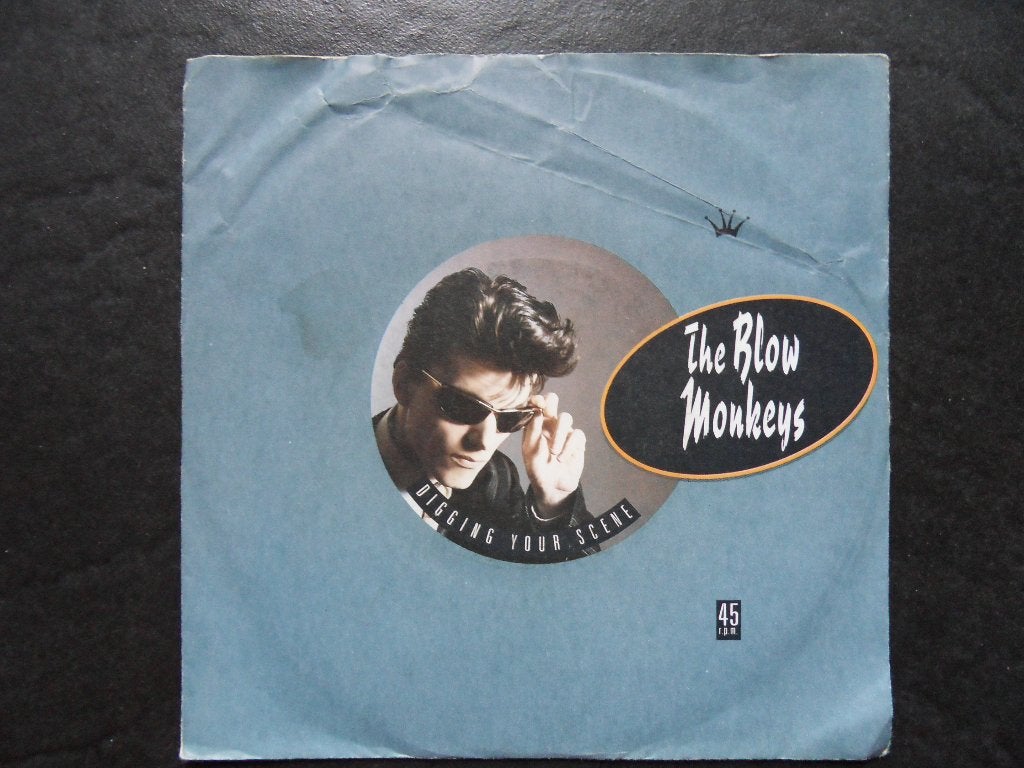 The Blow Monkeys - Digging your scene, Ophalen of Verzenden, Zo goed als nieuw, Pop