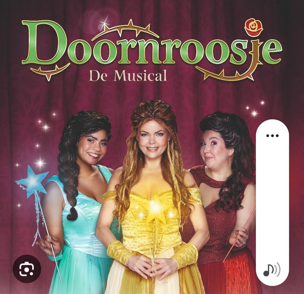 3 kaarten voor familie musical Doornroosje op 27 maart, Tickets en Kaartjes, Theater | Musical, Twee personen, Maart