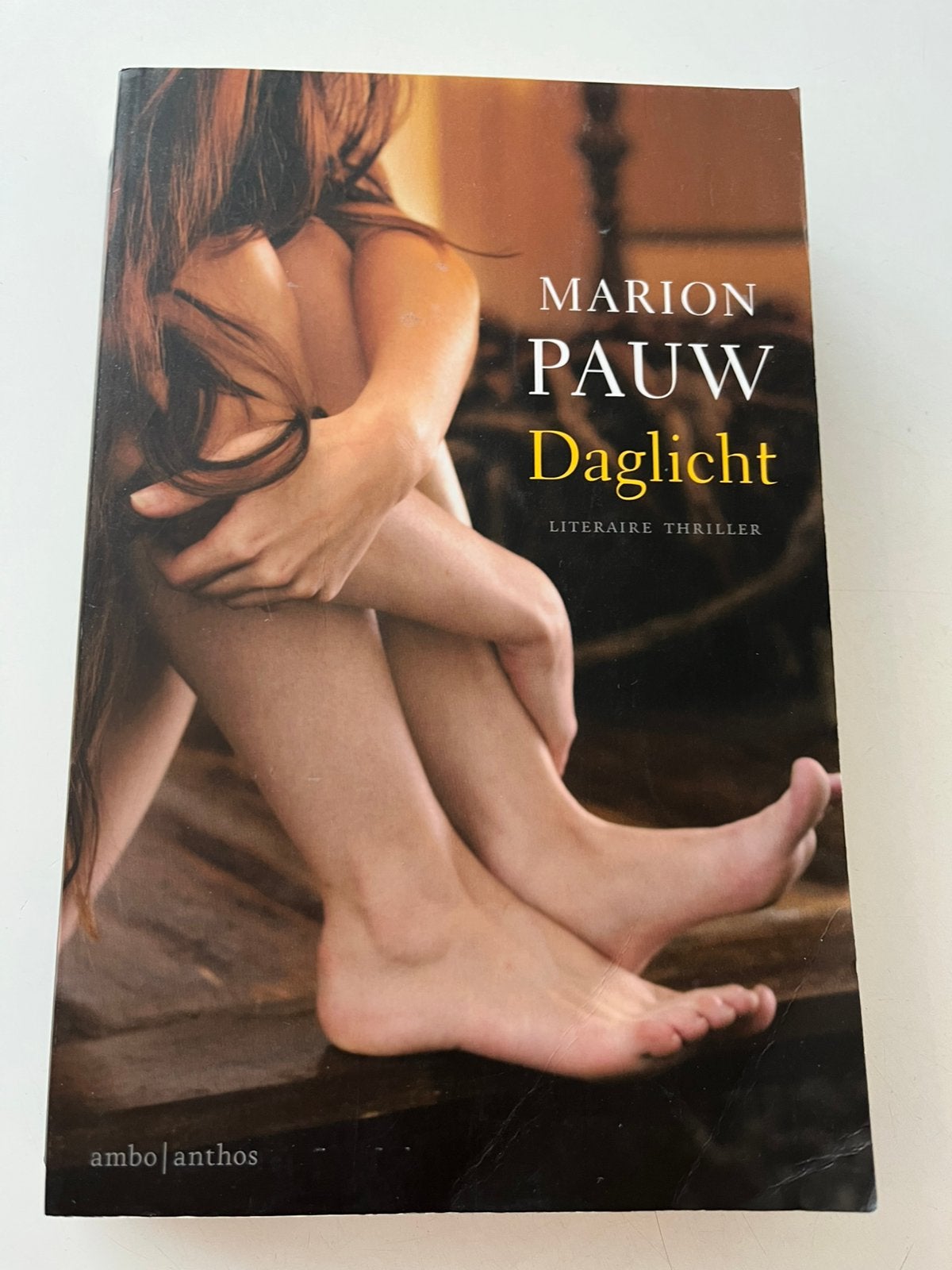 Marion Pauw - Daglicht, Marion Pauw, Ophalen of Verzenden, Zo goed als nieuw, Nederland