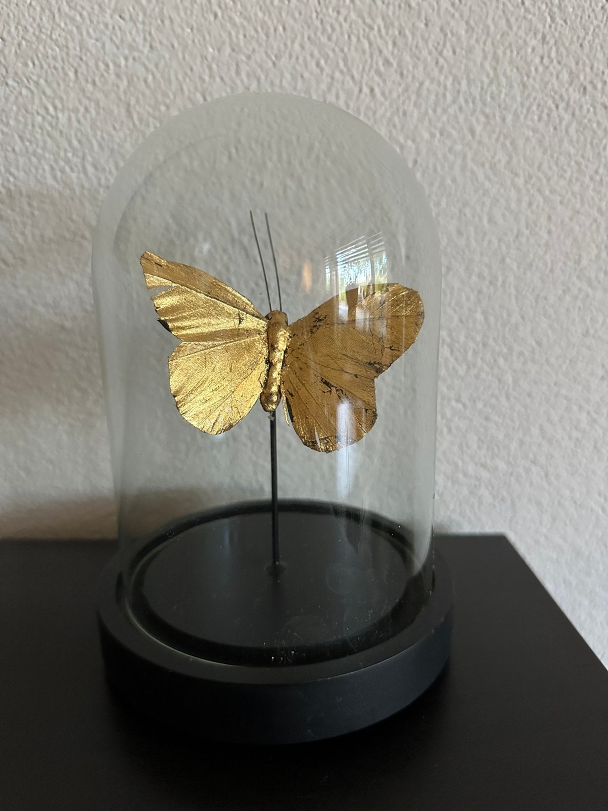 Vlinder in stolp, Huis en Inrichting, Glas, Ophalen, Zo goed als nieuw