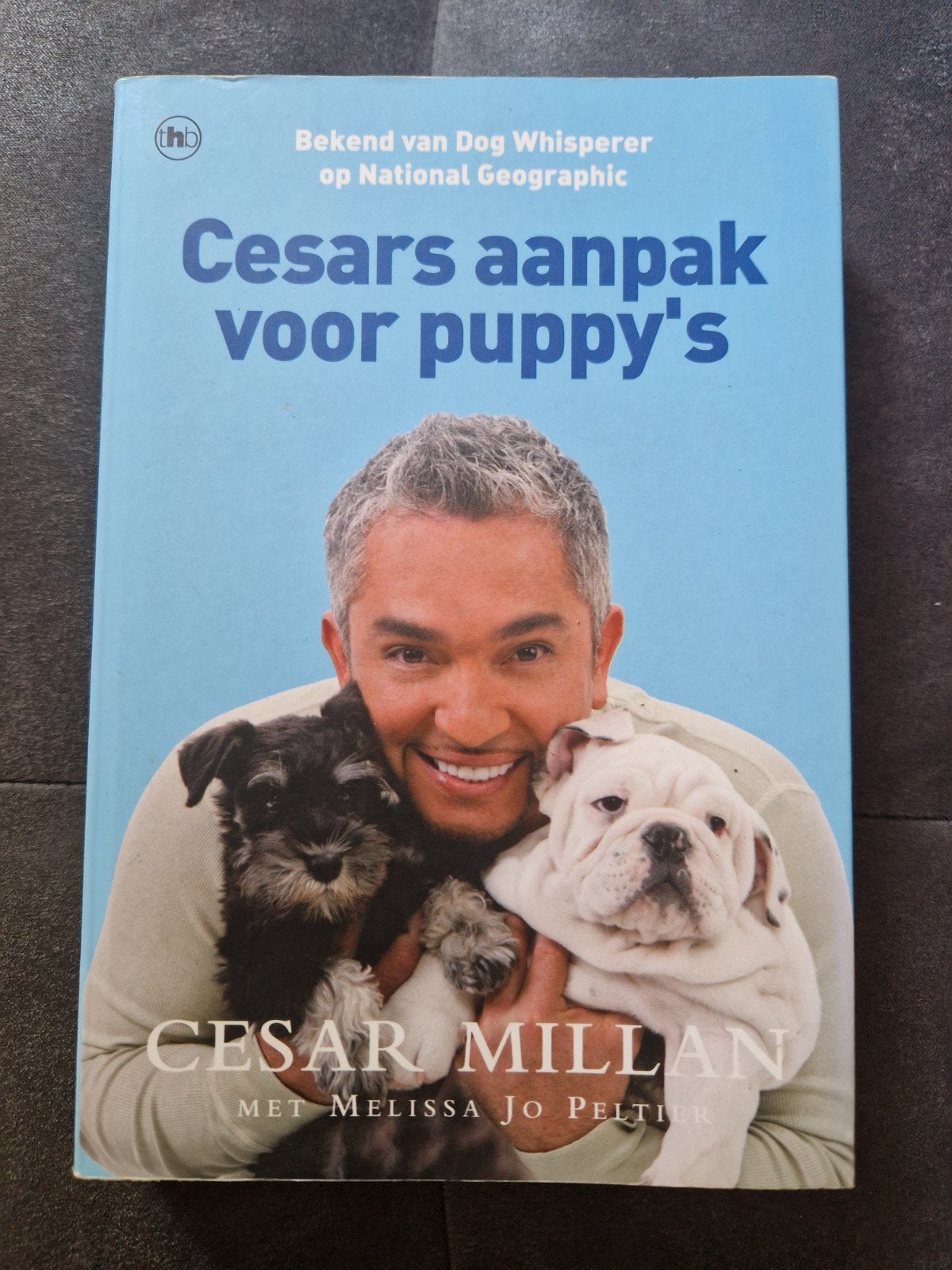 Cesar Millan: Cesars aanpak voor puppy's - Boek, Ophalen of Verzenden, Gelezen, Honden, Cesar Millan