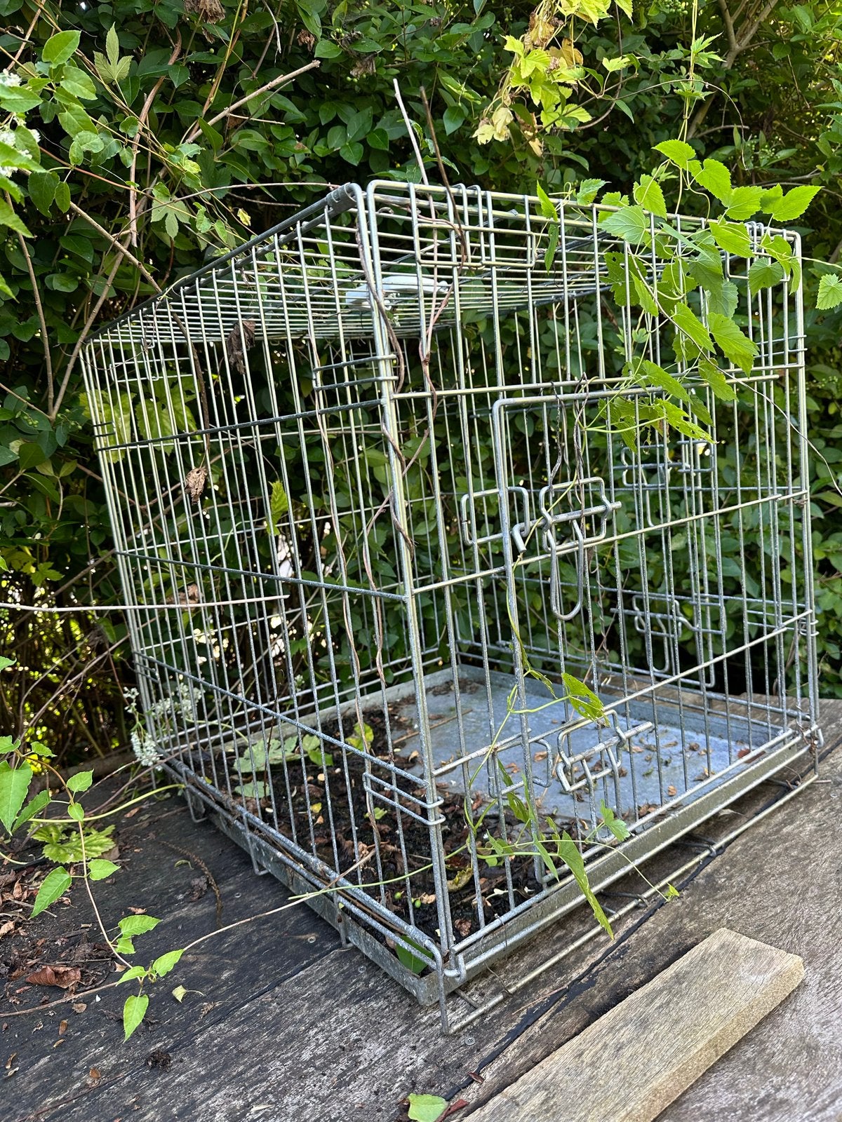 Transportkooi voor kleine dieren (gratis), Ophalen