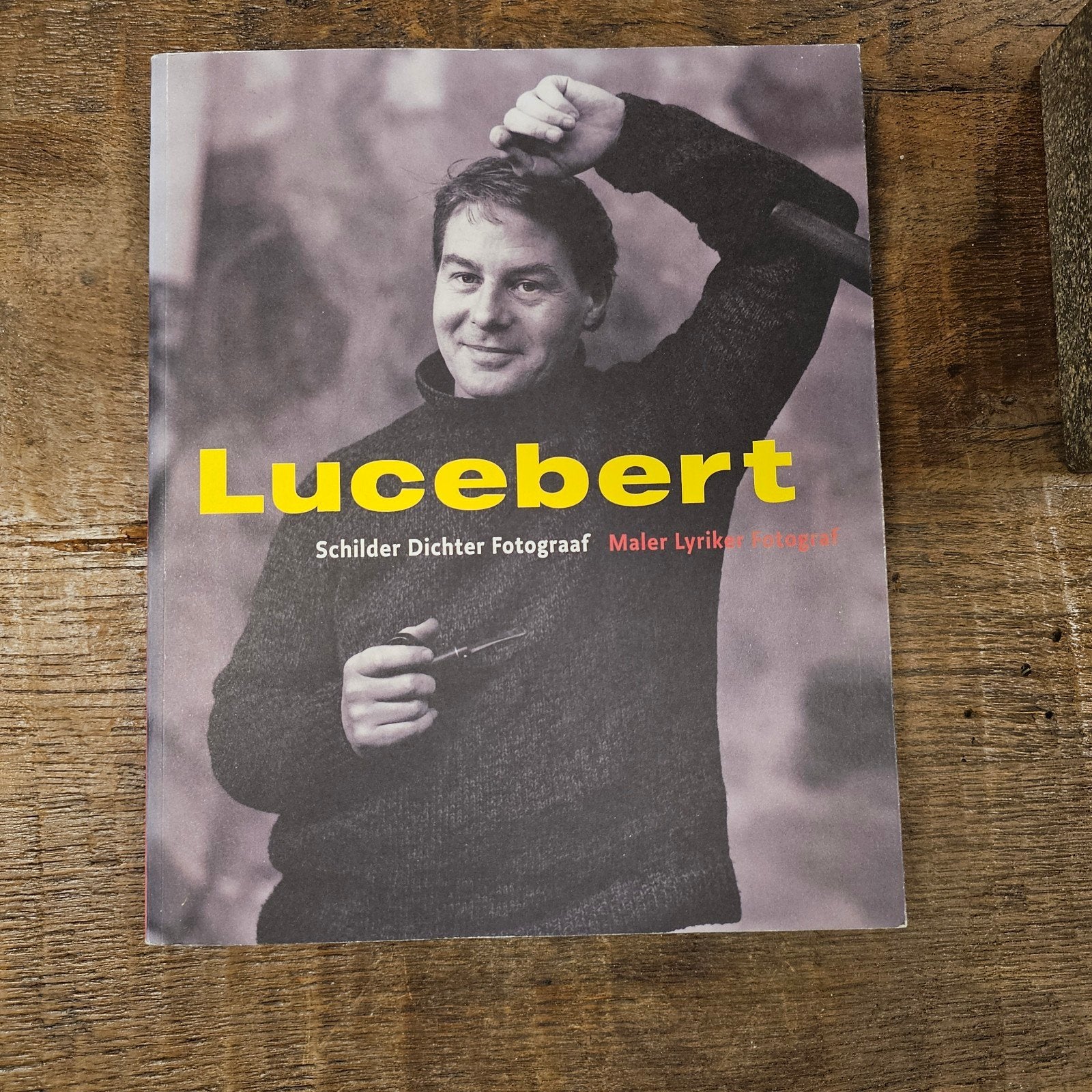 Lucebert, Boeken, Kunst en Cultuur | Beeldend, Gelezen, Ophalen of Verzenden