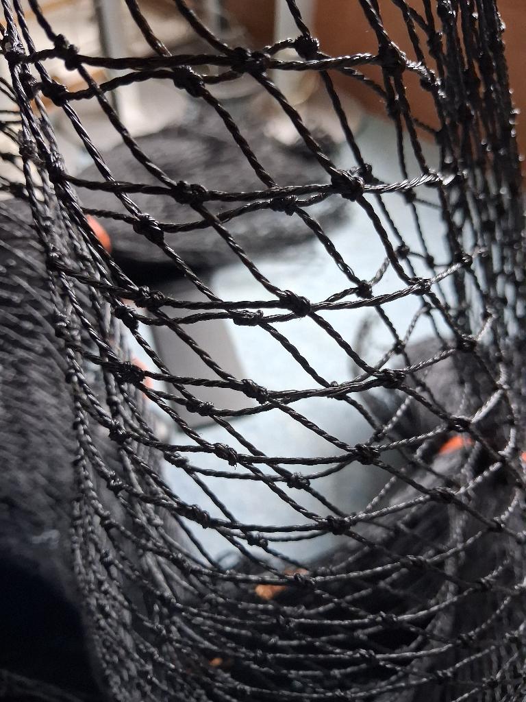 Vogelnet, Meerdere dieren, Parkiet