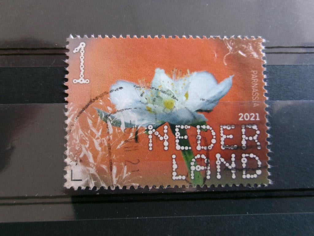 2021 - beleef de natuur parnassia (105c), Postzegels en Munten, Postzegels | Nederland, Verzenden, Gestempeld