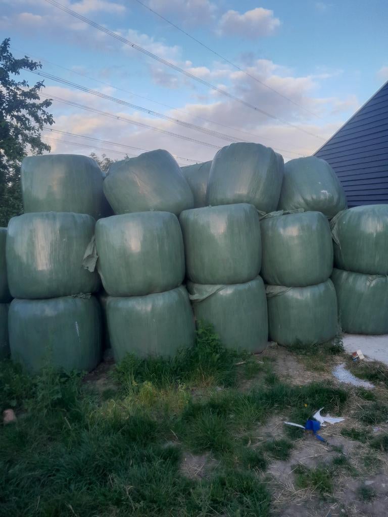 Grasbalen / Kuilbalen - Hoogwaardig Veevoer, Ophalen of Verzenden