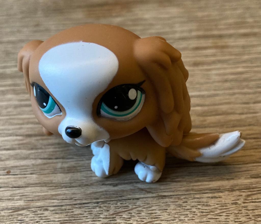 Littlest Pet Shop King Charles Spaniel Hasbro 2010, Ophalen of Verzenden, Gebruikt