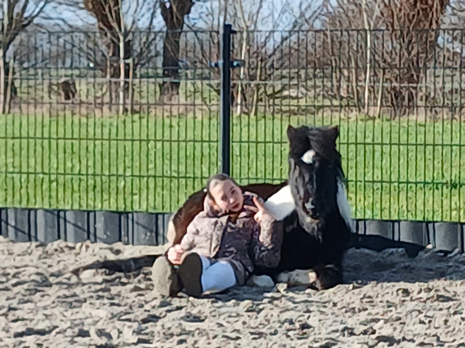 pony en shetlanders, Dieren en Toebehoren, Pony's, Ruin, A pony (tot 1.17m)