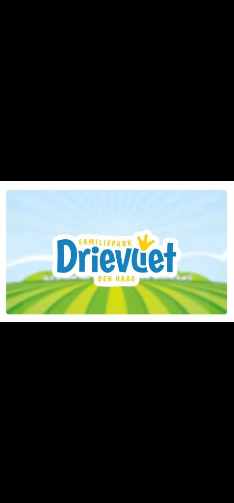 2 tickets + parkeerkaart Drievliet, Tickets en Kaartjes, Twee personen