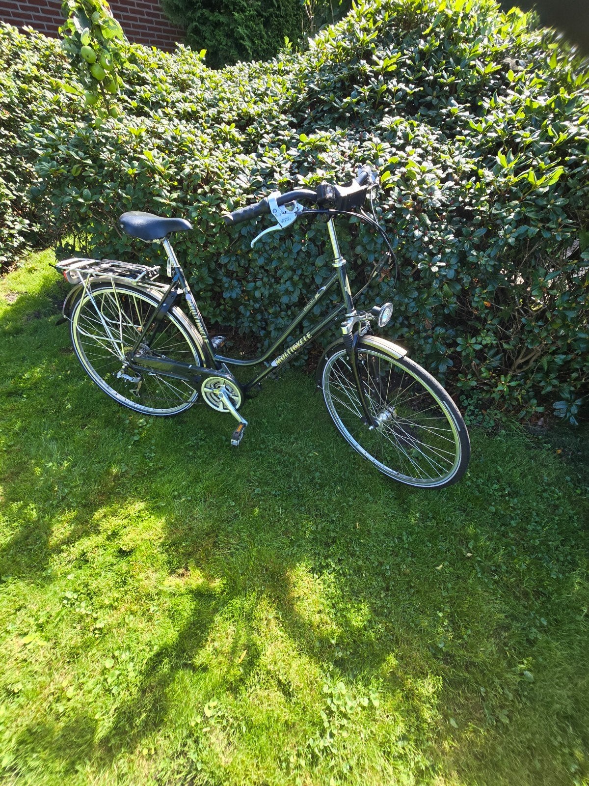 Mooie Multicycle damesfiets, helemaal goed, Fietsen en Brommers, 53 tot 56 cm, Velgrem, Versnellingen, Zo goed als nieuw