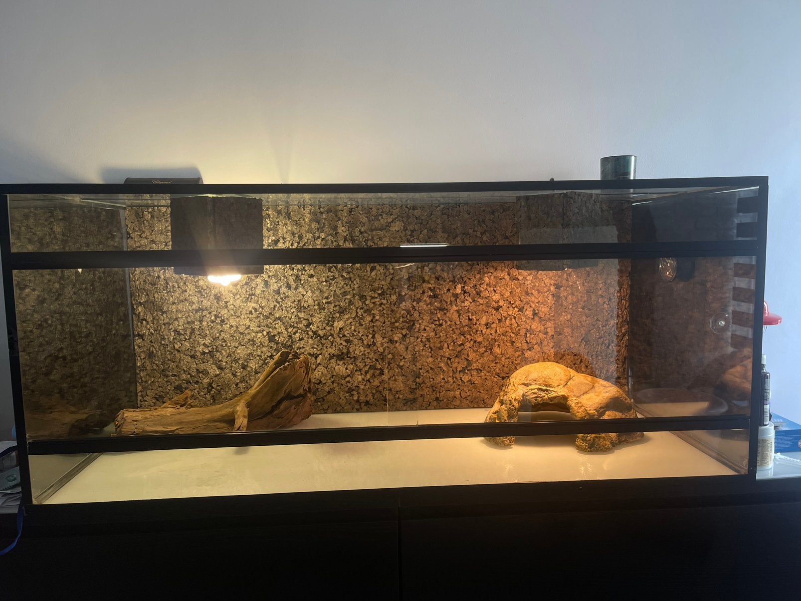 Terraruim 120x50x50, Ophalen, Gebruikt, Terrarium of Paludarium