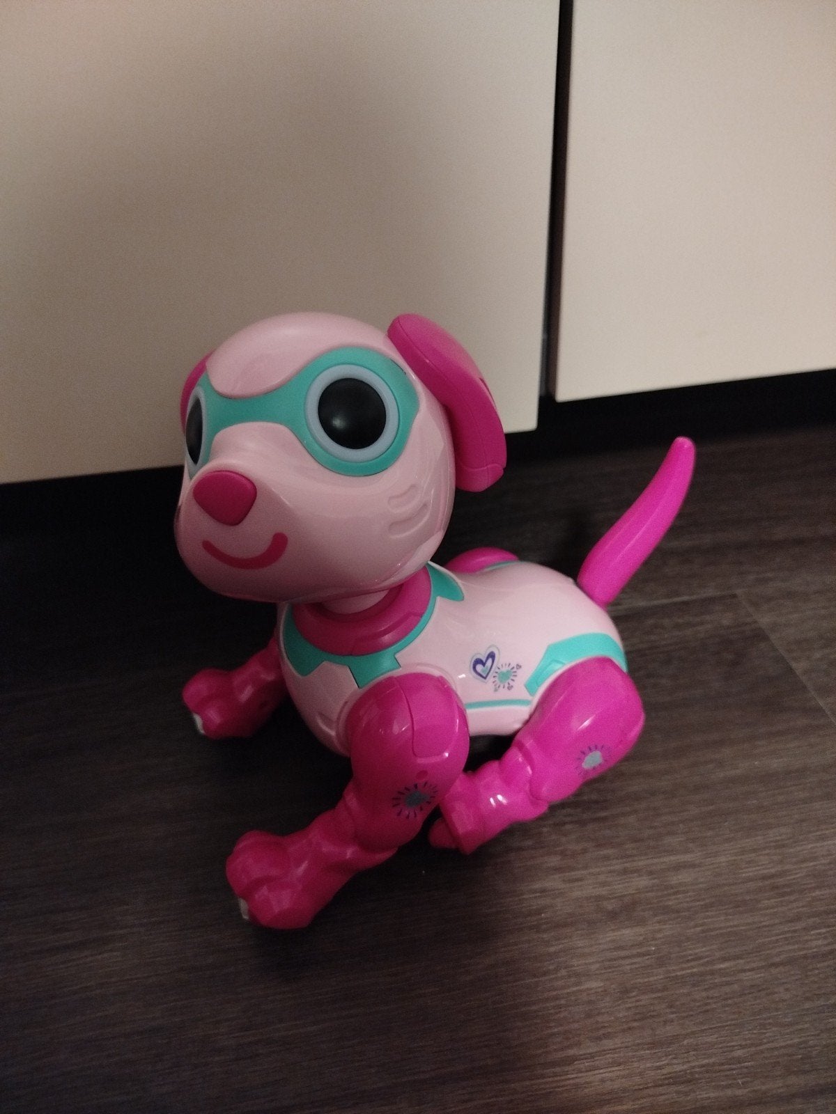 Roze robot hondje met afstandsbediening, Ophalen