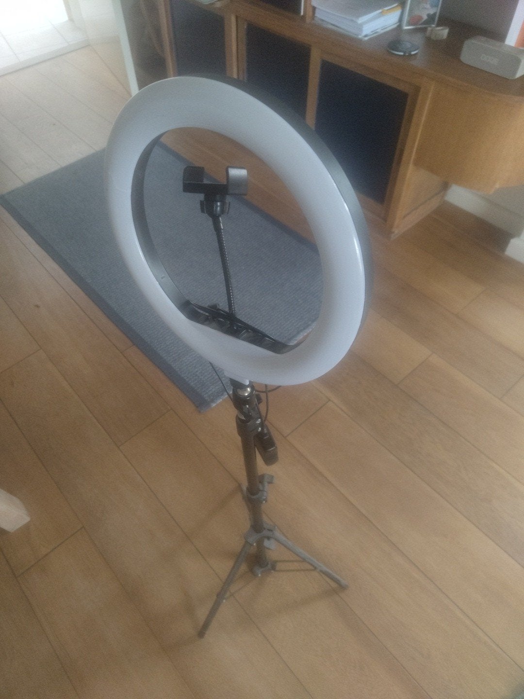 ringlamp, Ophalen of Verzenden, Overige typen