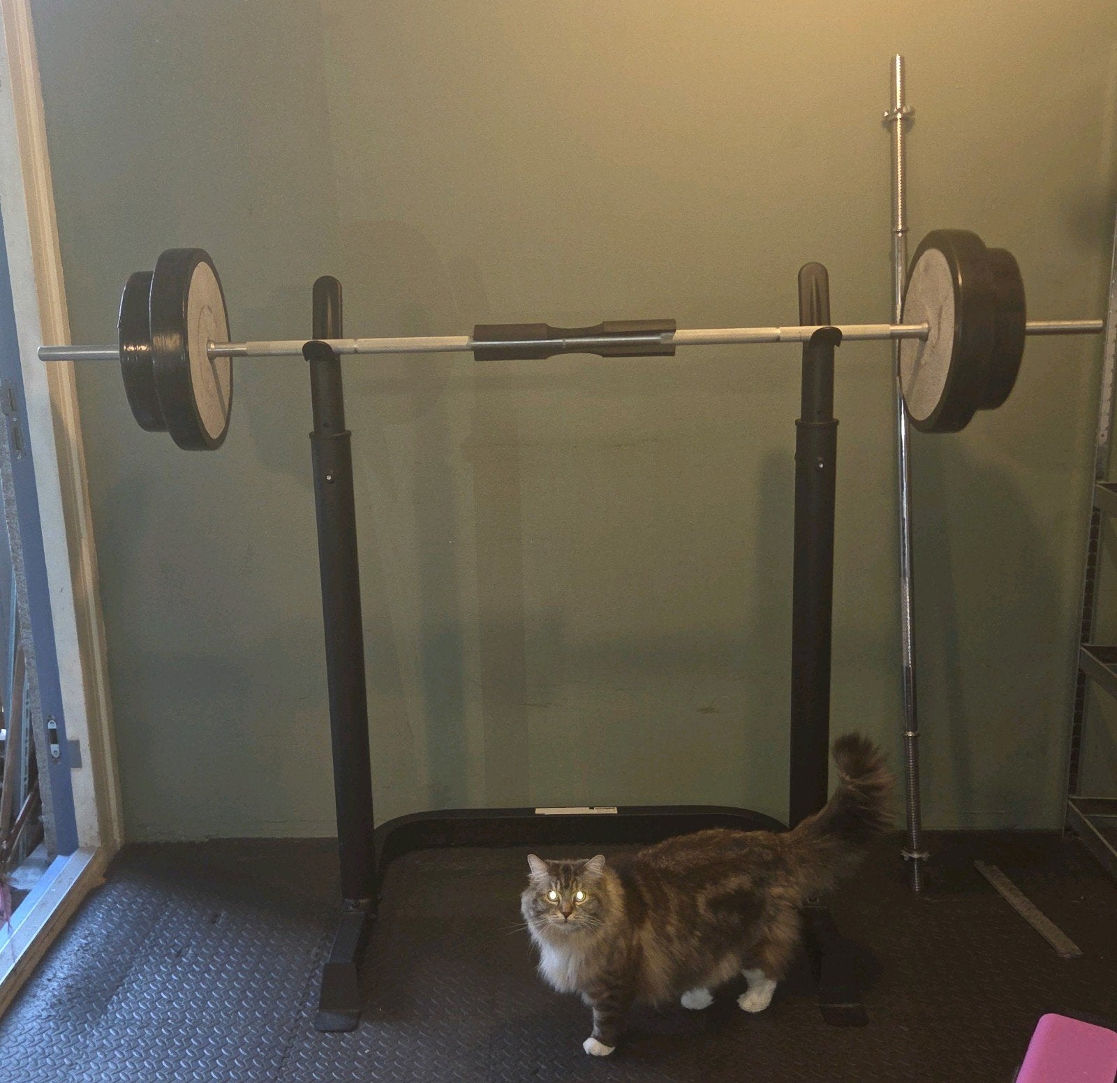 Tunturi verstelbaar squatrek/benchpress + halterstang - 54kg, Ophalen, Gebruikt, Armen, Krachtstation
