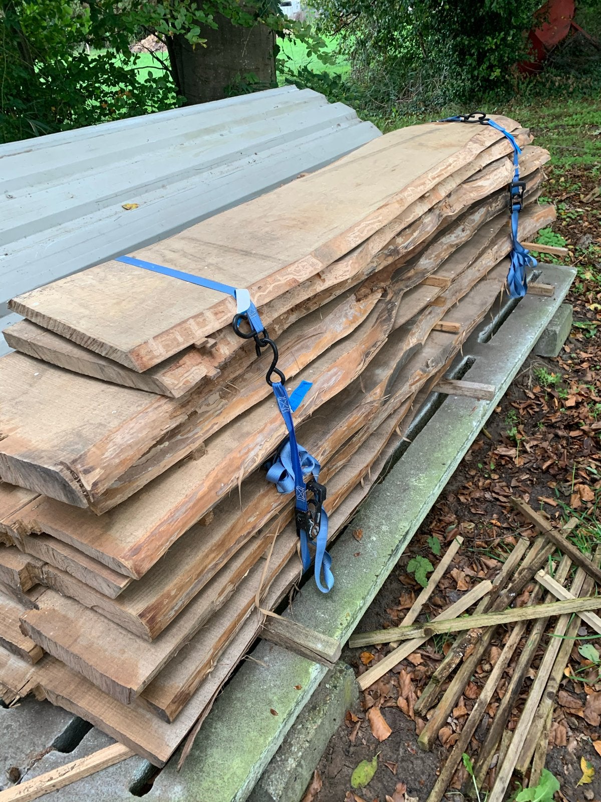 Gedroogd Esdoorn Schaaldelen - 245 cm lang, max 53 cm breed, Ophalen, Nieuw, 200 tot 250 cm, Plank