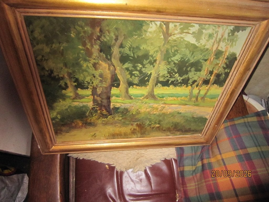 HOENDERLO, Mooi Impressionistisch Bosgezicht In mooie lijst, Ophalen, Expressionistisch, Olieverf, Landschap