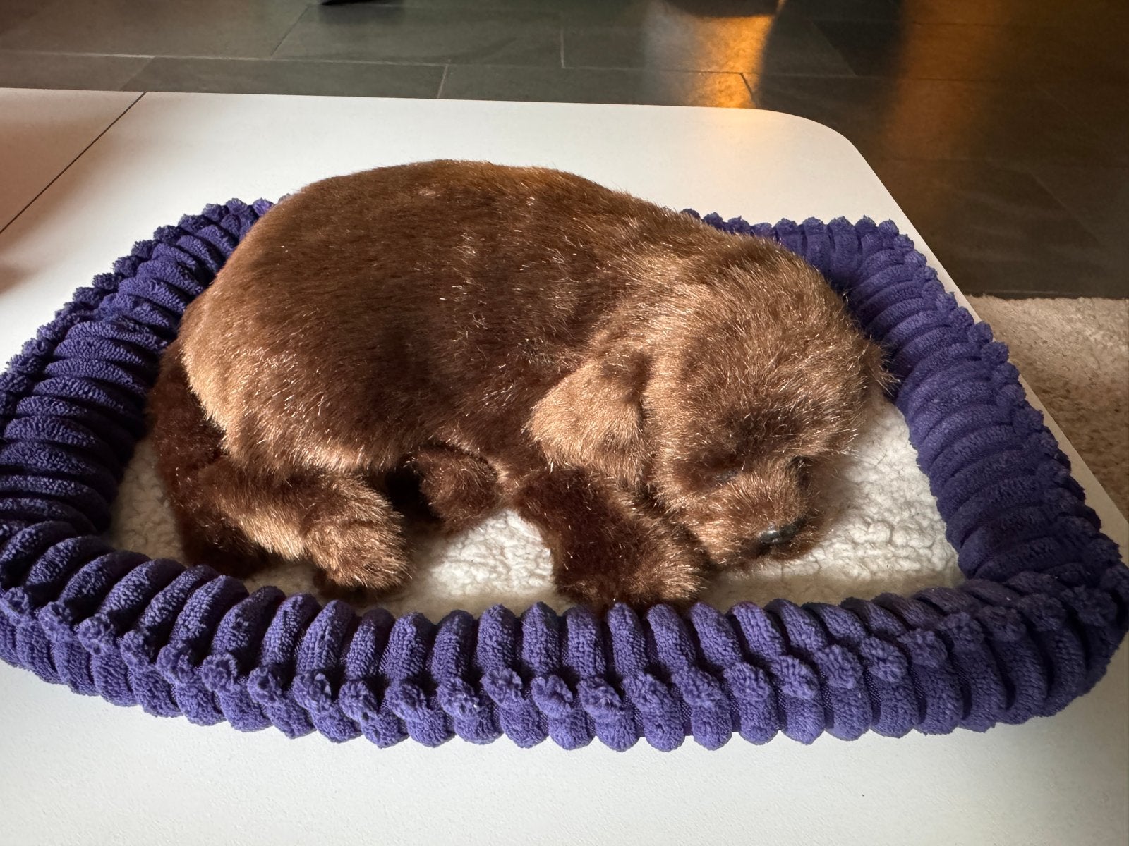 Hondje van Purfect Petzzz dat ademt in mandje, Ophalen, Zo goed als nieuw, Jongen of Meisje