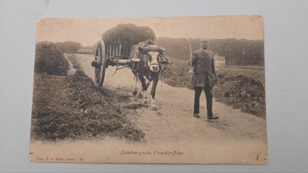 Ansichtkaart van Limburg, Verzenden, 1940 tot 1960, Limburg