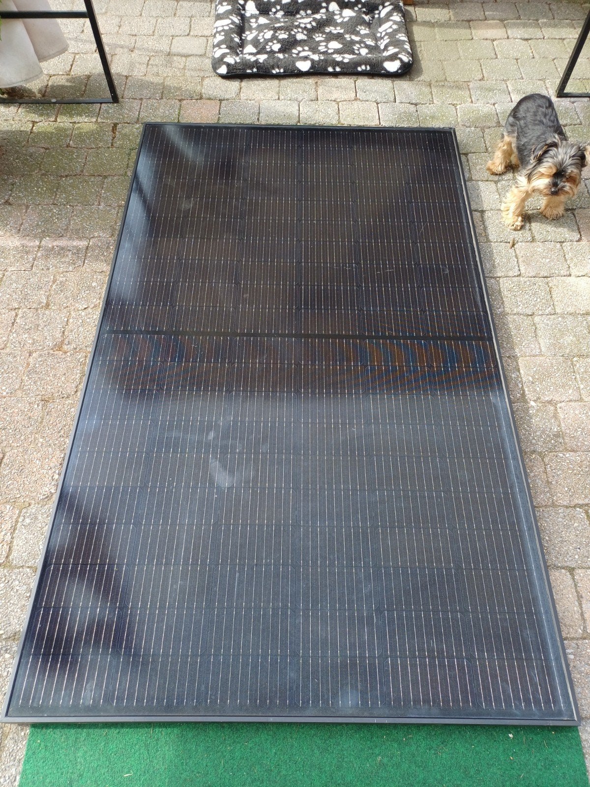 DMEGC Solar Energy Zonnepaneel DM370M-60HBB - Nieuw, Ophalen, Nieuw, Paneel, 200 wattpiek of meer