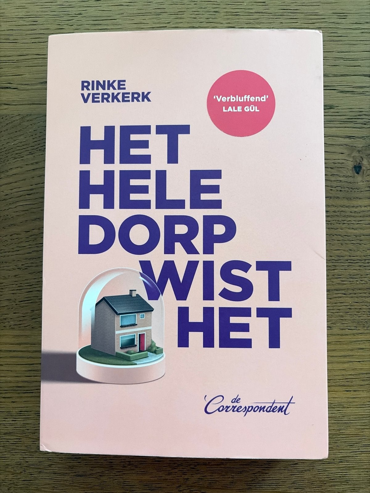 Het Hele Dorp Wist Het - Rinke Verkerk (De Correspondent), Boeken, Ophalen of Verzenden, Zo goed als nieuw, Nederland