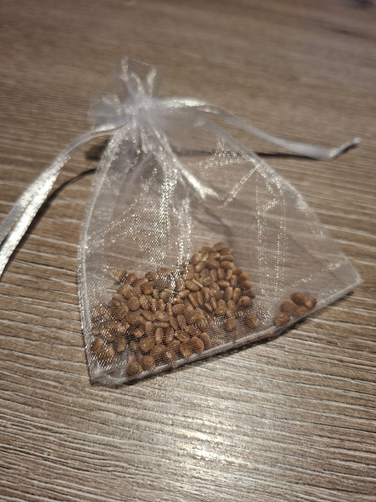 Paarse Lupine Zaadjes - Prachtige Bloemen voor uw Tuin, Ophalen of Verzenden, Voorjaar, Volle zon, Zaad