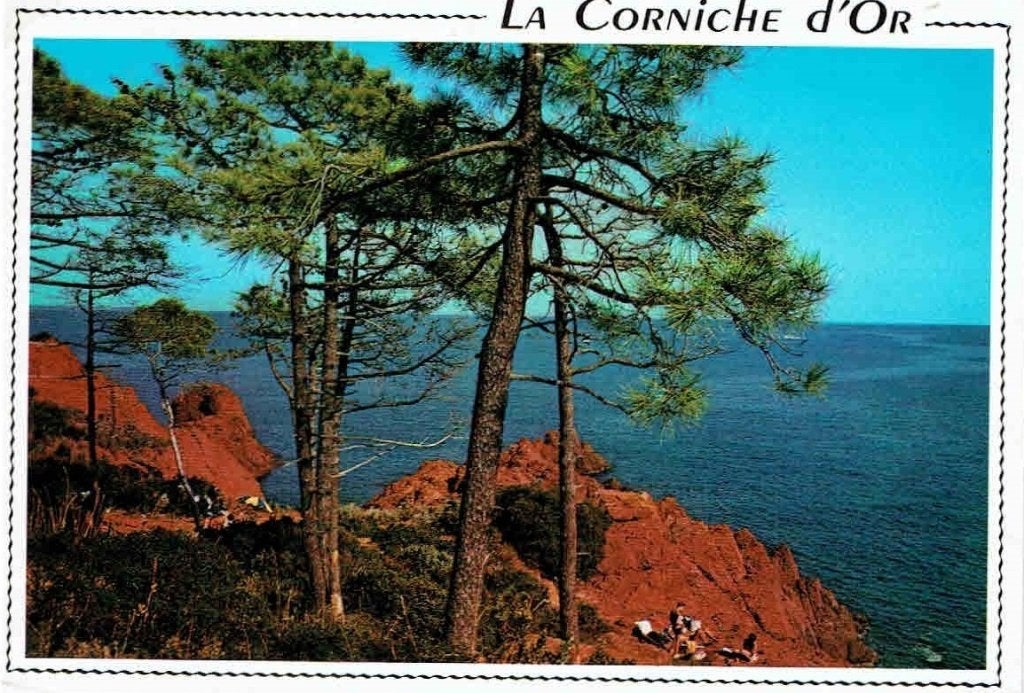 Frankrijk 1989 Corniche Esterel bomen > Wijchen, Verzenden, 1980 tot heden, Gelopen, Natuur