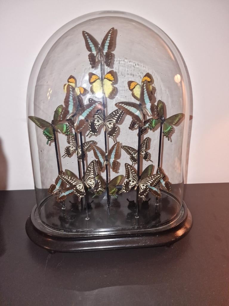 Grote stolp met vlinders 42 hoog 32 breed, Huis en Inrichting, Woonaccessoires | Stolpen, Ophalen