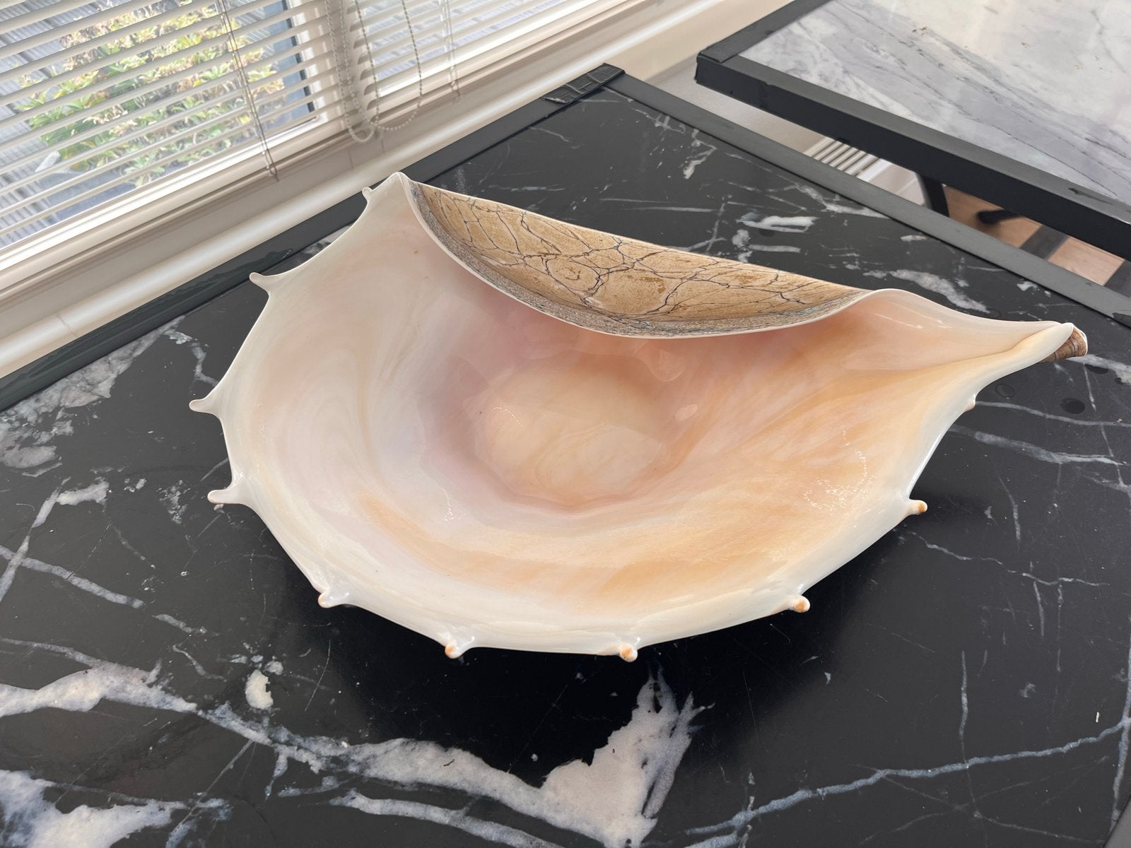 Decoratieve Schelp - glas, Ophalen, Beige, Overige stijlen, Zo goed als nieuw