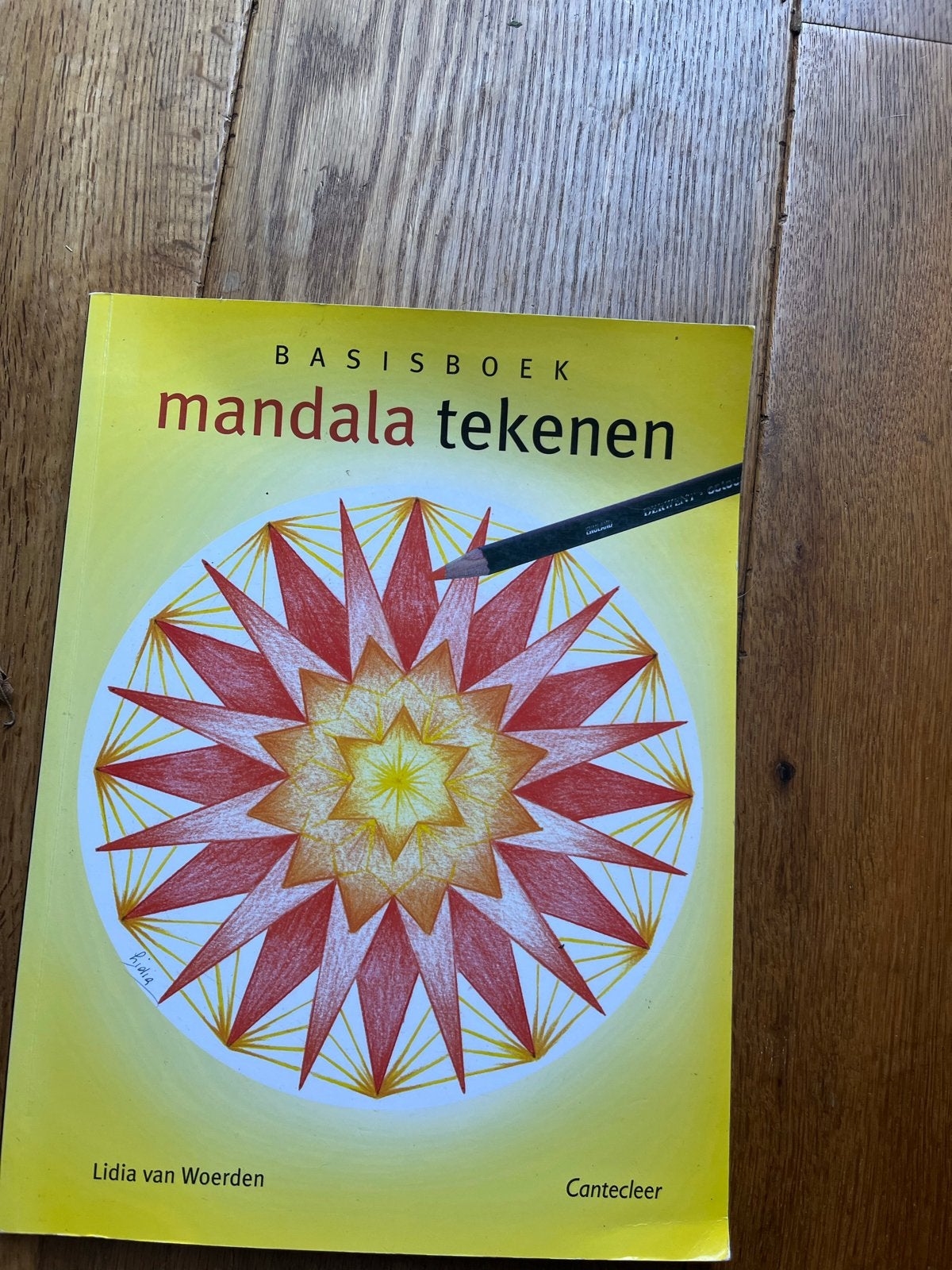 Basisboek Mandala Tekenen - Lidia van Woerden, Ophalen of Verzenden, Gebruikt, Boek of Gids