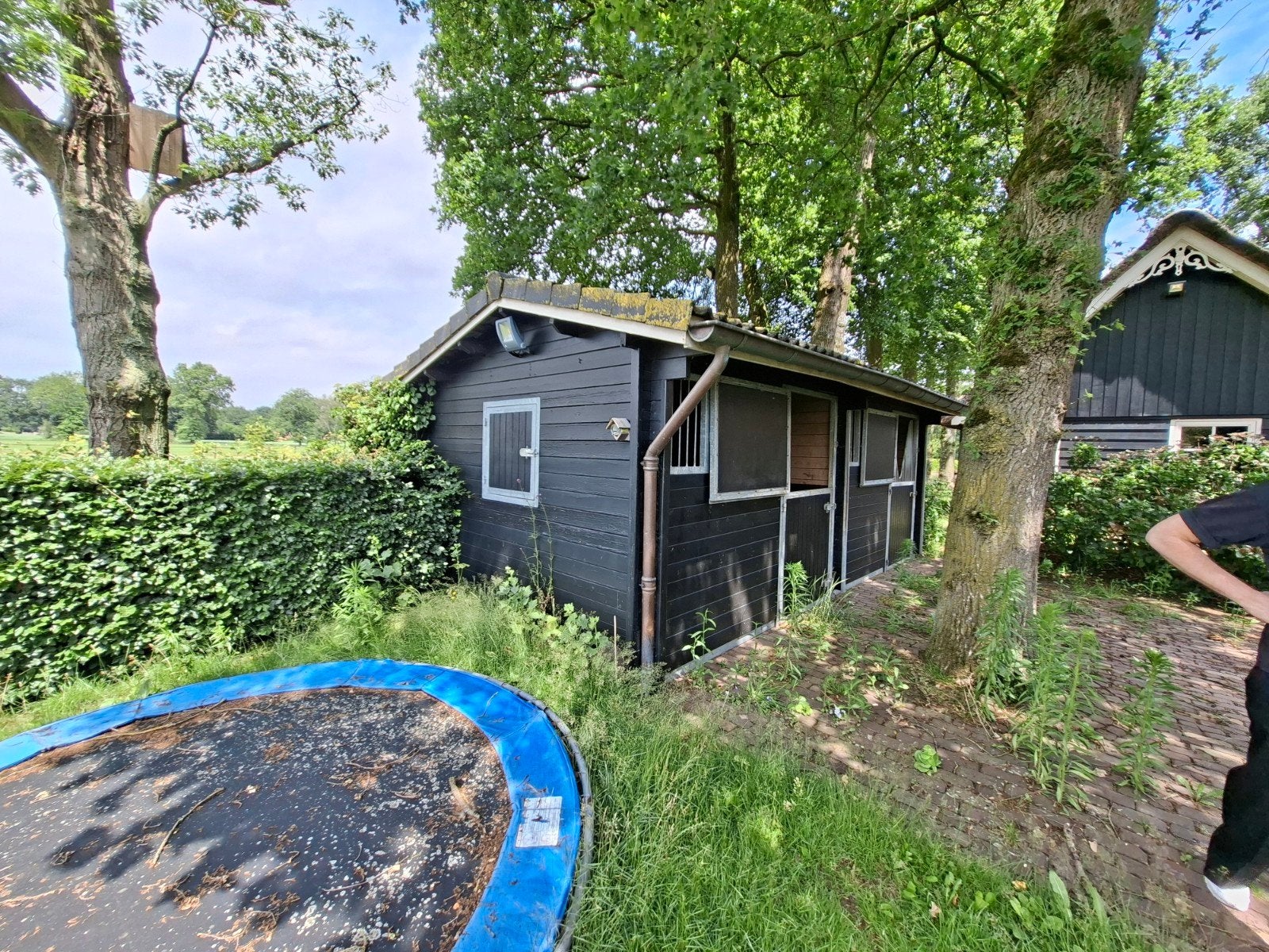 Paardenstal, Dieren en Toebehoren