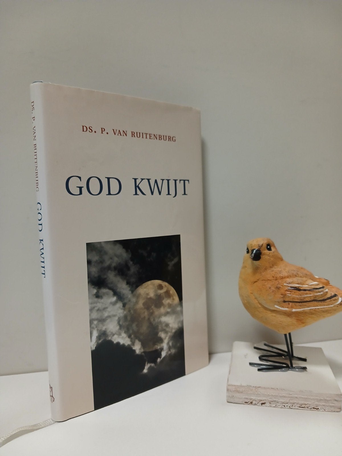 Ruitenburg, Ds. P. van; God kwijt, Ophalen of Verzenden, Gelezen, Christendom | Protestants