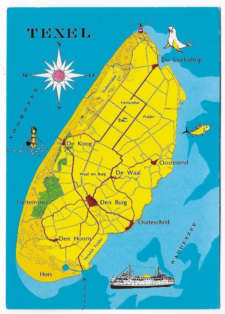 Texel ongelopen Ansichtkaart ( B2645 ), Ophalen of Verzenden, 1980 tot heden, Ongelopen, Waddeneilanden