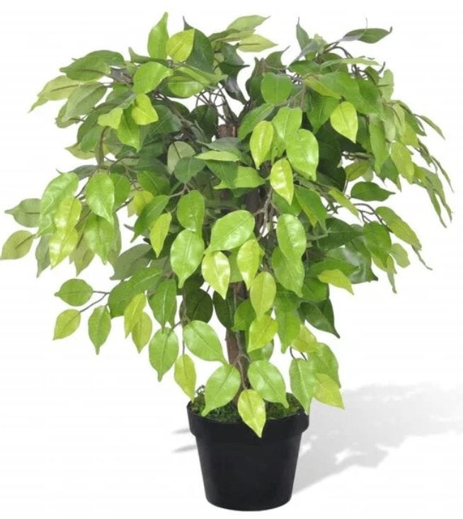 Kunstplant kamerplant vijgenboom 60 cm GRATIS BEZORGD!, Binnen, Groen, Verzenden, Met pot of vaas