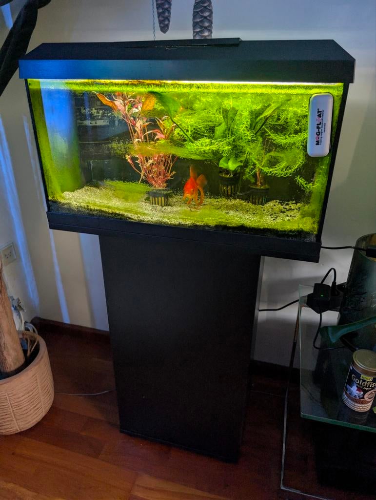 Juwel aquarium met onderkast, verlichting en pomp, Ophalen, Zo goed als nieuw, Leeg aquarium