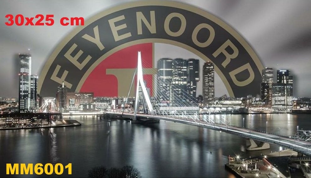 Feyenoord Muismat  Maat: 30x25 cm Antislip, Verzenden, Overige typen, Nieuw, Www.thegallery16.nl