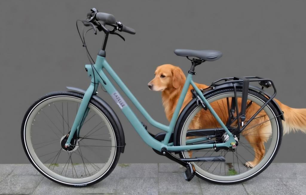 Gazelle esprit t3, 53 tot 56 cm, Ophalen, Zo goed als nieuw, Gazelle