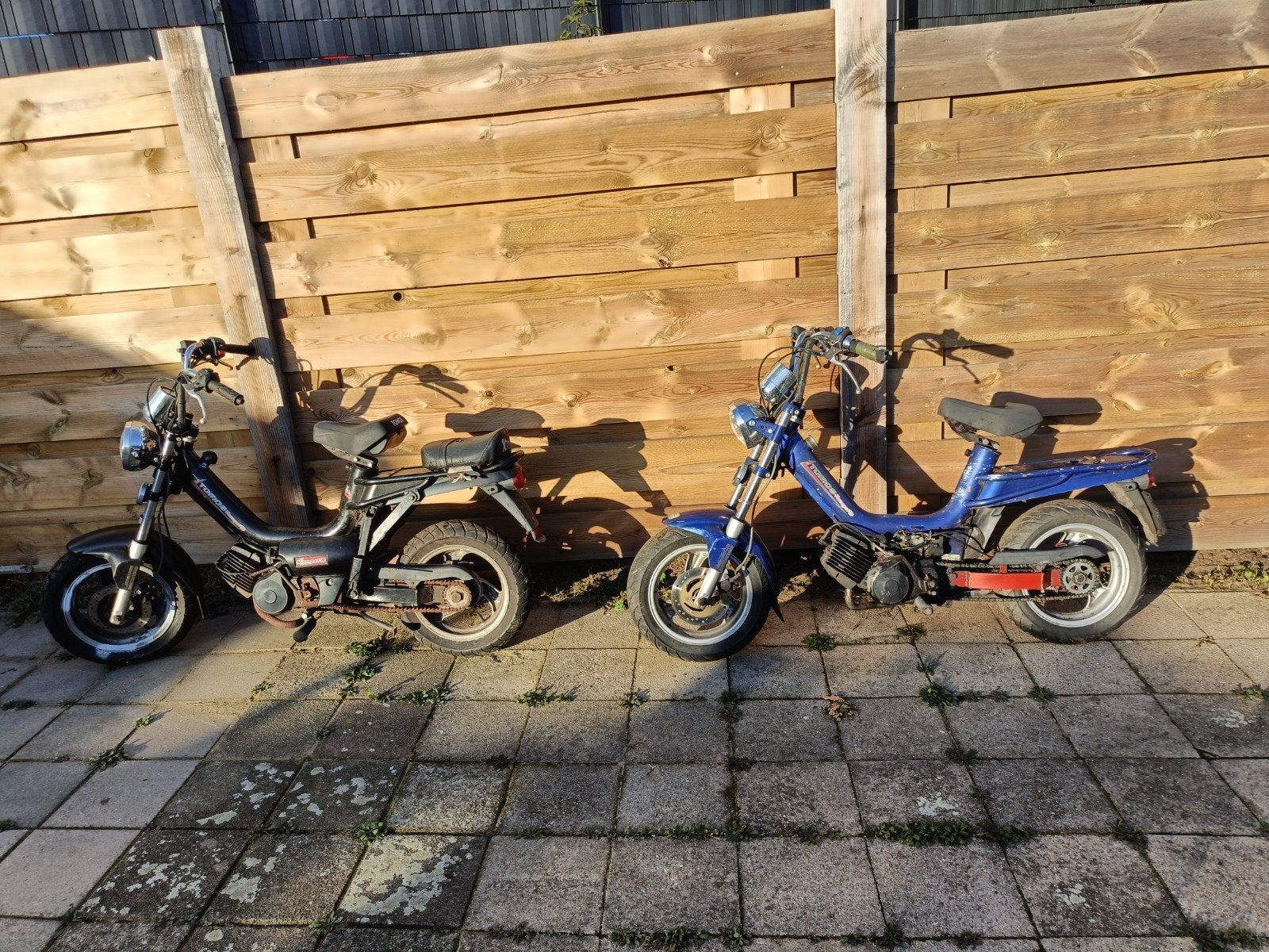 2X Tomos Youngster zonder kenteken cross projekt (A35 flexer, Ophalen, Gebruikt, Overige modellen