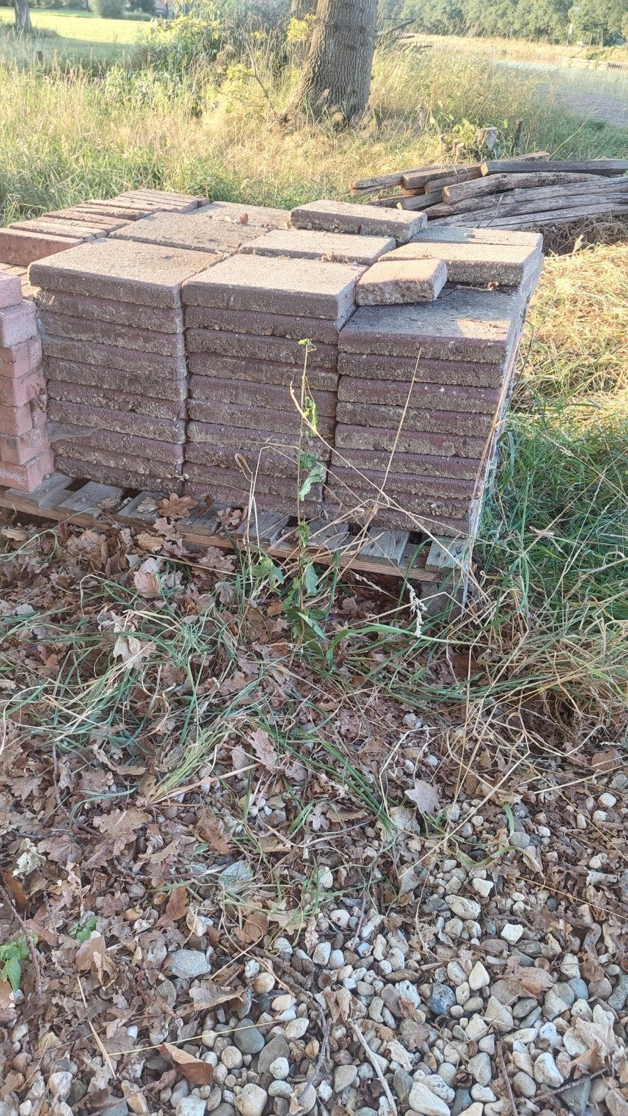Rode betontegels - 4 cm dik - ca. 9m², Tuin en Terras, Tegels en Klinkers, Ophalen, Gebruikt, 5 tot 10 m², Beton