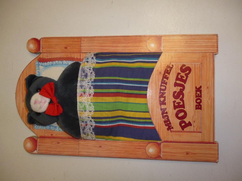 mijn knuffel poesjesboek met knuffel z.g.a.n., Ophalen of Verzenden, Zo goed als nieuw