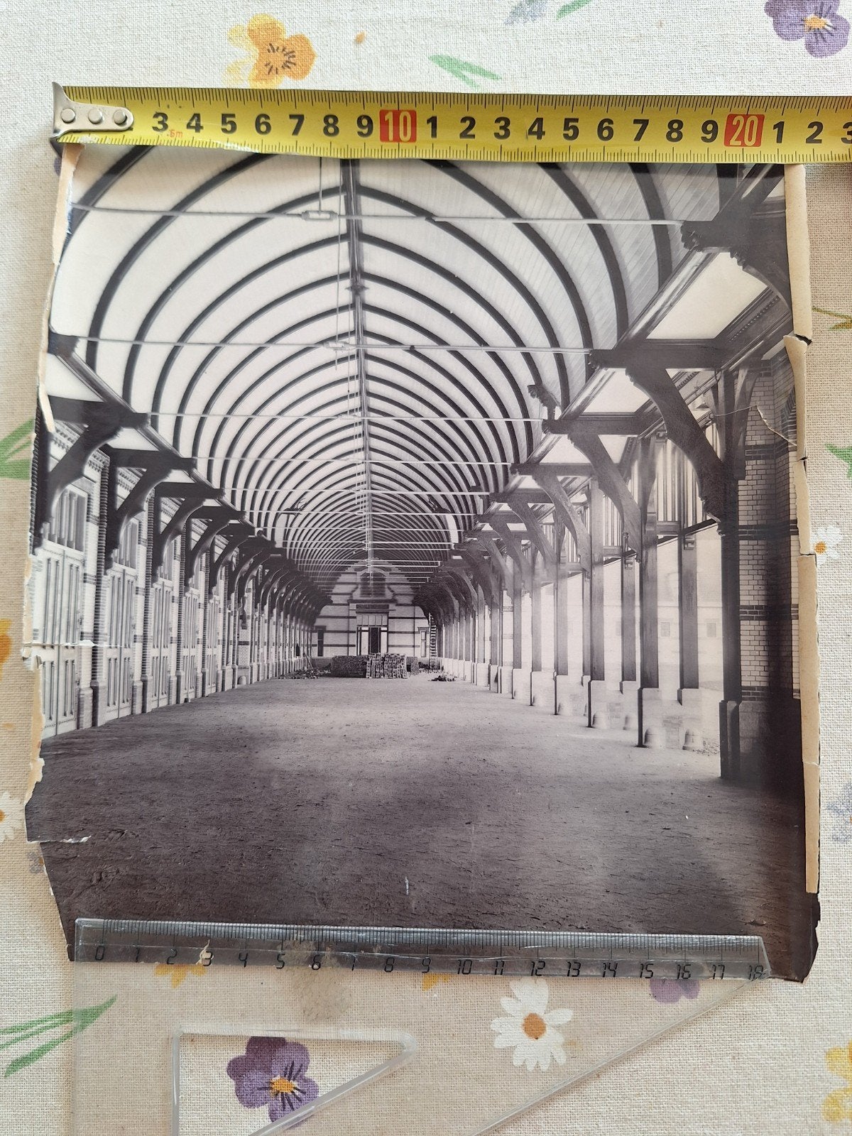 Echte Foto 1909 interieur Koninklijke Stallen Loo Apeldoorn, Gebruikt, Foto, Ophalen of Verzenden, Gebouw