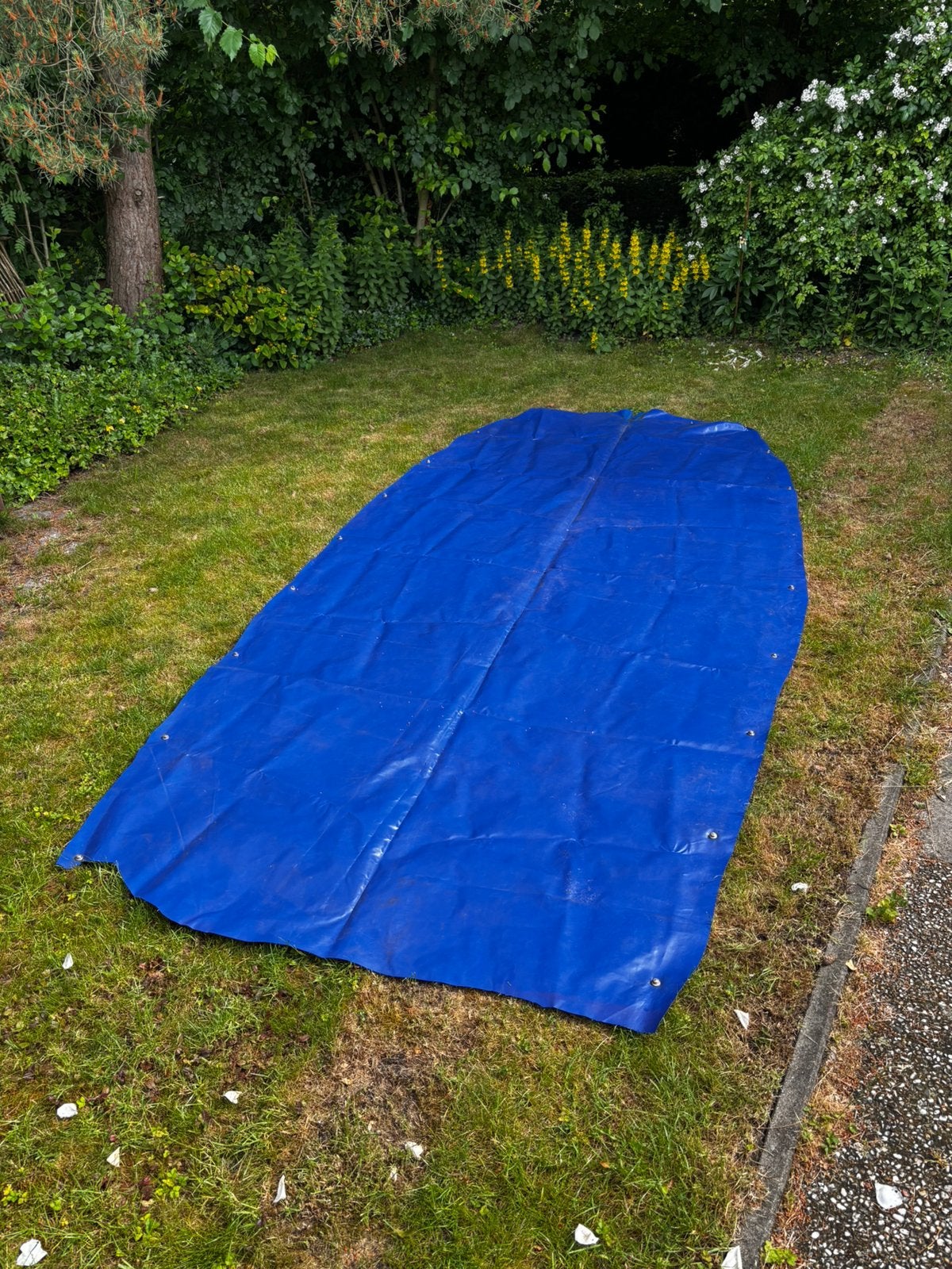 Afdekzeil boot, Ophalen, Zo goed als nieuw, 5 tot 10 m², Zeil