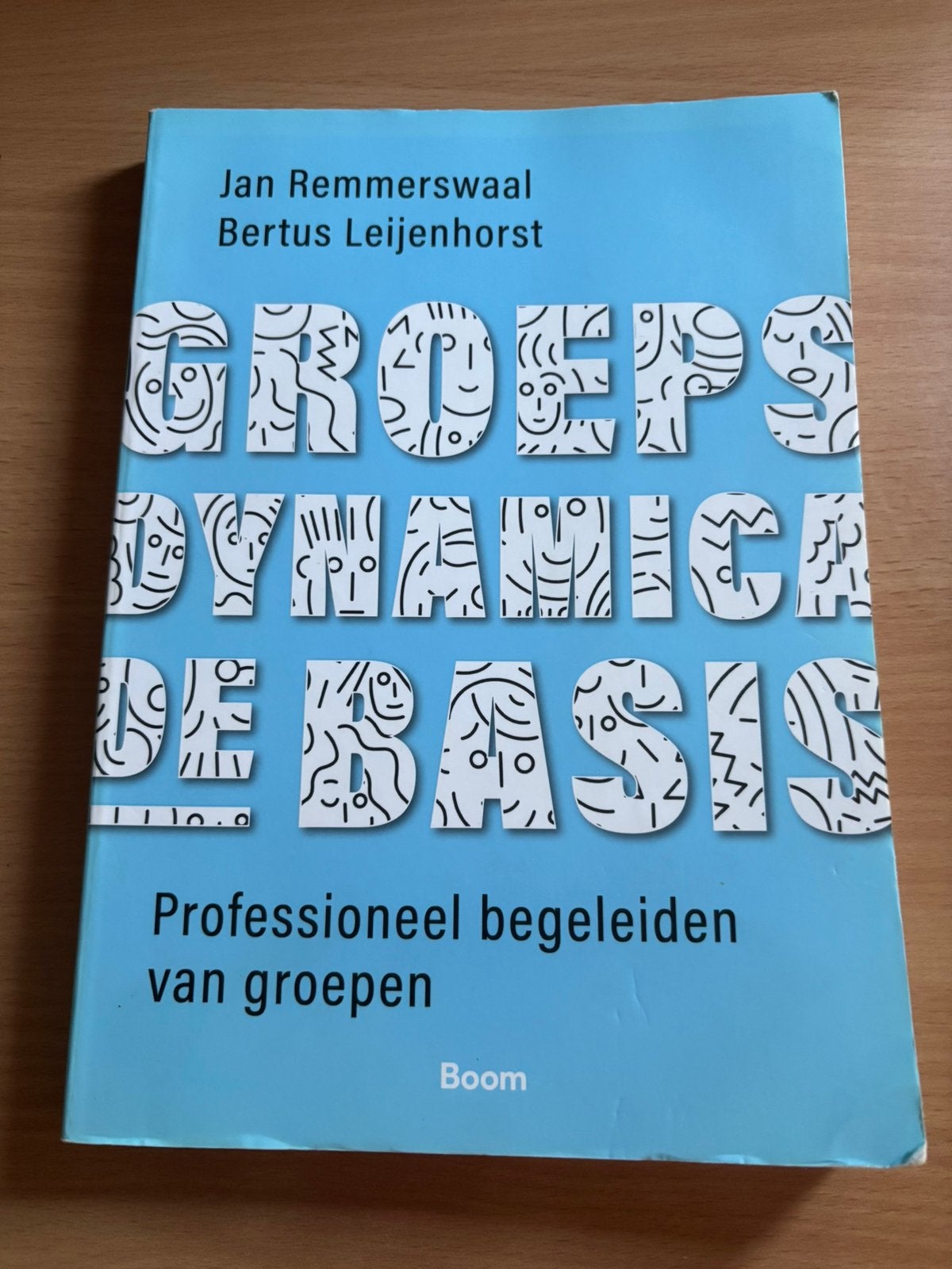 Groepsdynamica de basis, Bertus Leijenhorst; Jan Remmerswaal, Zo goed als nieuw, Alpha, HBO