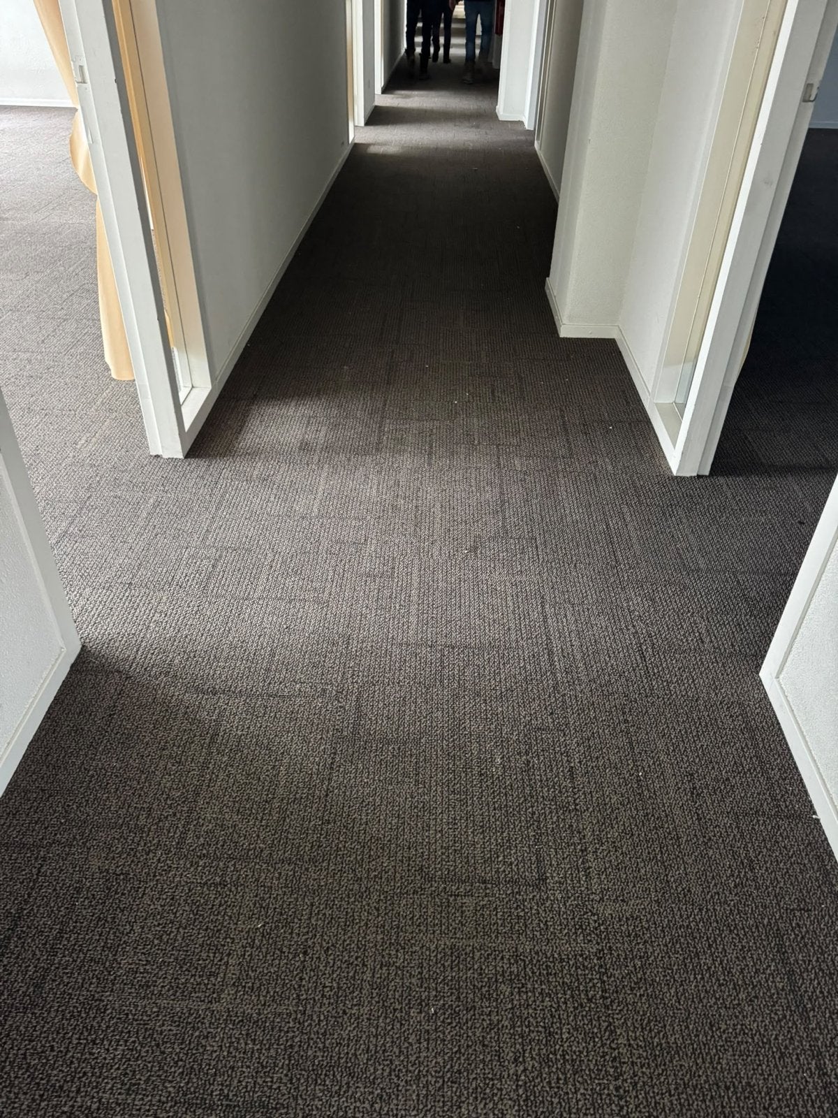 Grote partij gebruikte tapijttegels (ca. 3000m²) - Mijdrecht, Ophalen, Gebruikt, Bruin, Ntb