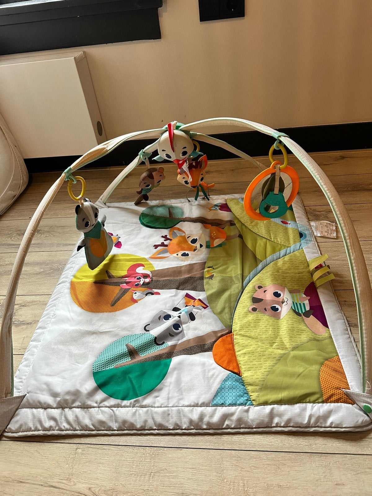 Tiny Love Speelkleed met muziek, licht en speeltjes, Ophalen, Zo goed als nieuw