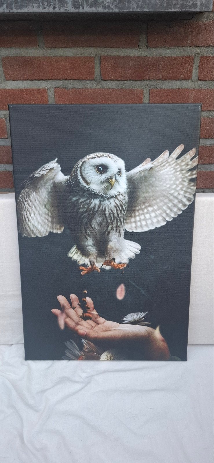 5 prachtige dierenschilderijen op canvas, Ophalen of Verzenden, Textiel, Op houten frame, Dieren