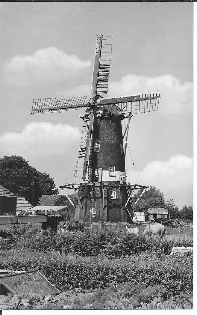 Ansichtkaart Korenmolen 'De Eendracht' Gietenveen 1975, Verzamelen, Ophalen of Verzenden, 1960 tot 1980, Ongelopen, Drenthe