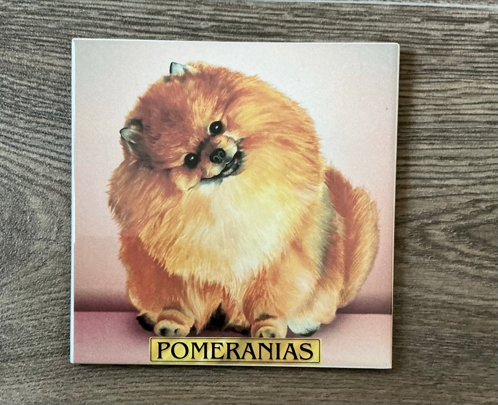 Decoratieve tegel met pomeriaan puppy (Dwergkees)- 15x15 cm, Ophalen of Verzenden, Zo goed als nieuw, Meerkleurig, Steen/keramiek