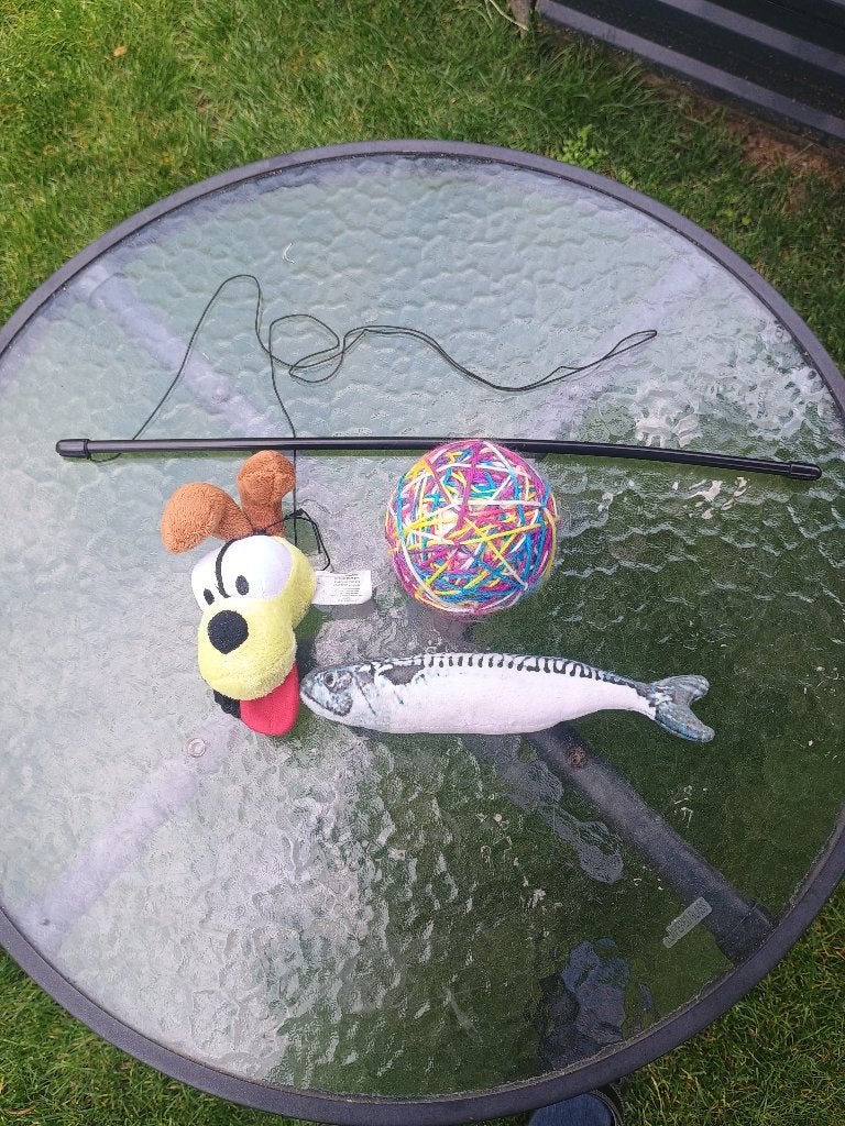 Te koop katten speelgoed, Ophalen of Verzenden, Zo goed als nieuw, Speelhengel