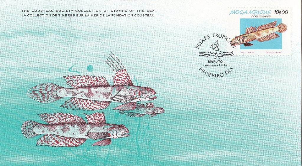 Cousteau - Moçambique - Gobiichthys lemayi-Le globe de Lemay, Verzenden, Overige typen